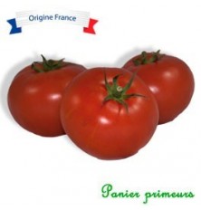 Tomates Pays (le kg)
