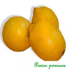 Citrons (le lot de 2)